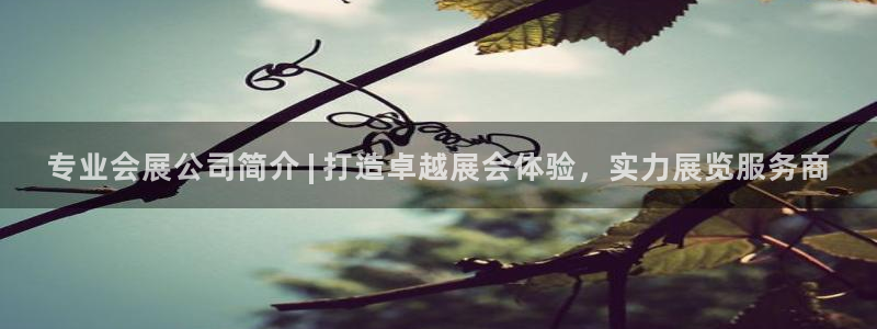 果博公司会员开户