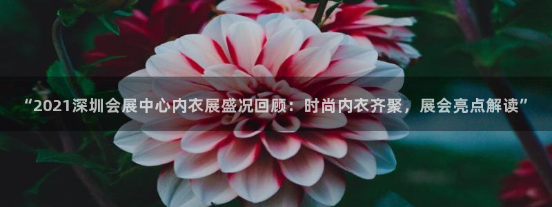 果博公司游戏网址：“2021深圳会展中心内衣展盛况回顾：时尚内衣齐聚，展会亮点解读”