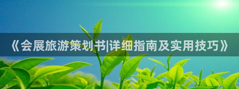 果博注册充值：《会展旅游策划书|详细指南及实用技巧》