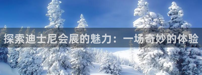 果博公司上分客服：探索迪士尼会展的魅力：一场奇妙的体验