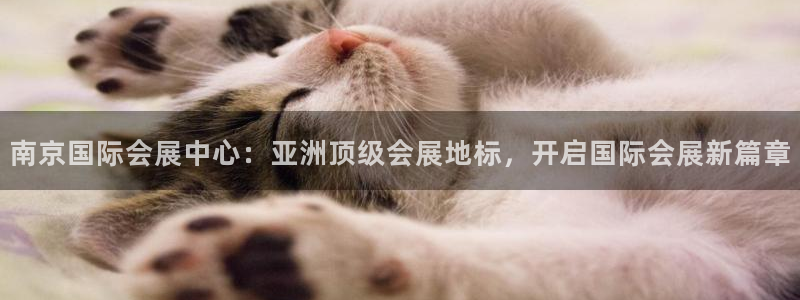 果博公司怎么开户：南京国际会展中心：亚洲顶级会展地标，开启国际会展新篇章