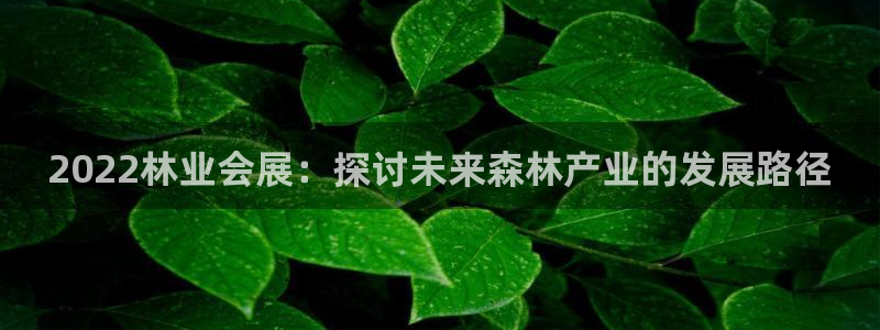 果博公司游戏网址：2022林业会展：探讨未来森林产业的发展路径