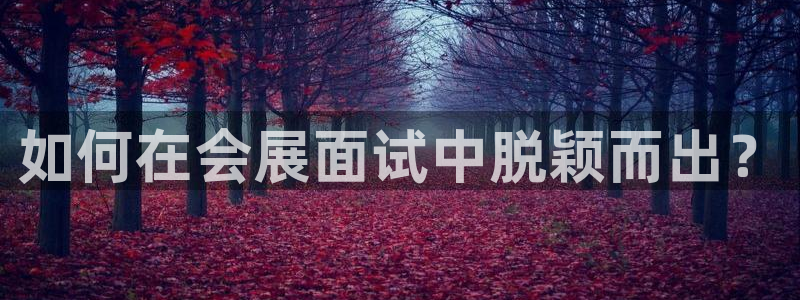 果博是怎么登录的：如何在会展面试中脱颖而出？