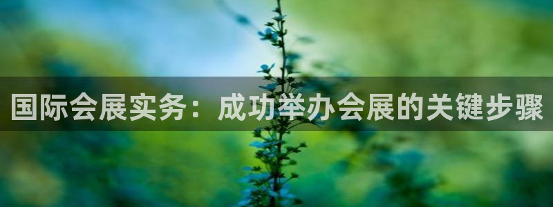 果博真人：国际会展实务：成功举办会展的关键步骤