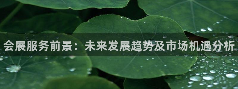 果博手机版下载：会展服务前景：未来发展趋势及市场机遇分析