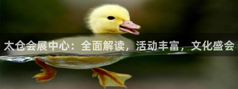 果博公司联系方式：太仓会展中心：全面解读，活动丰富，文化盛会