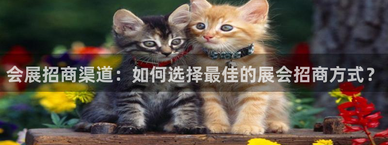 果博注册账号链接：会展招商渠道：如何选择最佳的展会招商方式？