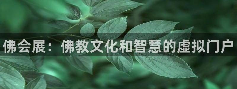 果博平台真实吗安全吗可信吗安全吗：佛会展：佛教文化和智慧的虚拟门户
