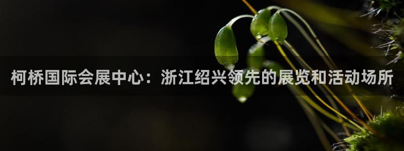 果博注册客服电话是多少号码：柯桥国际会展中心：浙江绍兴领先的展览和活动场所