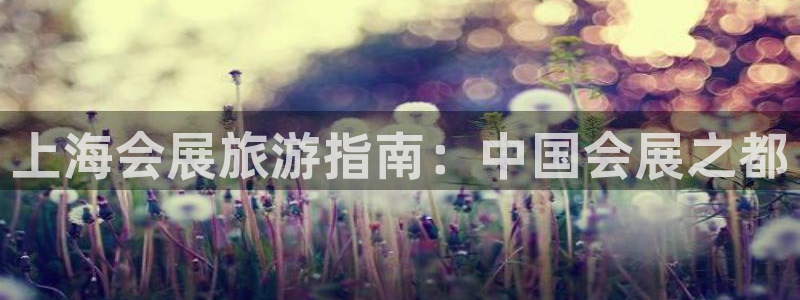 果博手机版官方下载：上海会展旅游指南：中国会展之都