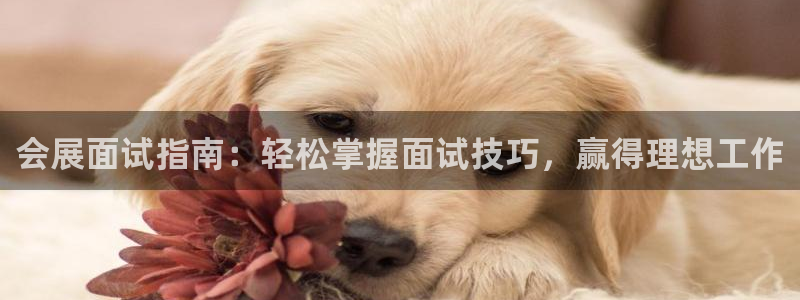 果博平台真实吗安全吗：会展面试指南：轻松掌握面试技巧，赢得理想工作