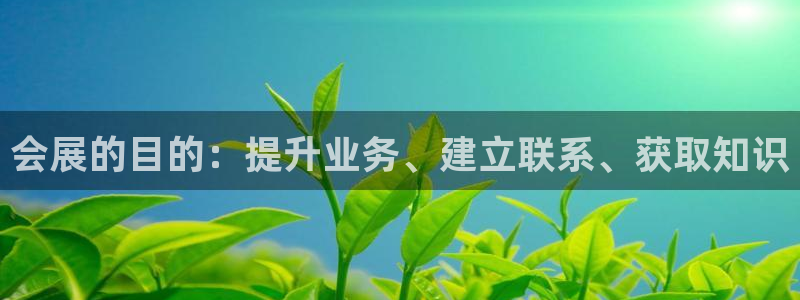 果博公司客服怎么样：会展的目的：提升业务、建立联系、获取知识