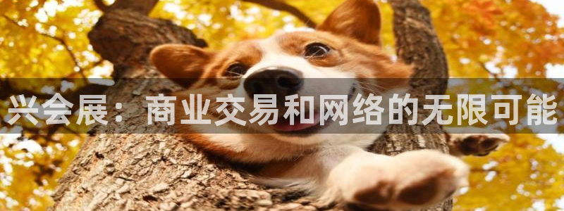 果博注册平台：兴会展：商业交易和网络的无限可能