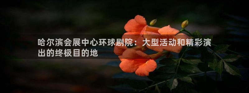 果博公司客服电话多少：哈尔滨会展中心环球剧院：大型活动和精彩演
出的终极目的地