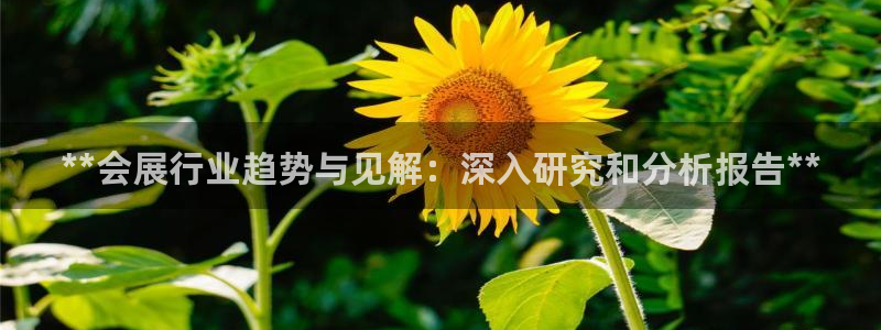 果博客服联系电话：**会展行业趋势与见解