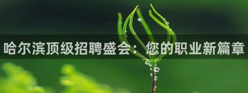 果博注册充值多少钱：哈尔滨顶级招聘盛会：您的职业新篇章