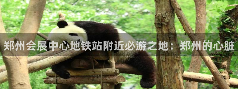 果博公司客服怎么样：郑州会展中心地铁站附近必游之地：郑州的心脏