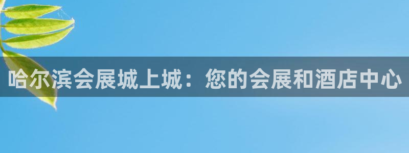 苹果电脑怎么下载博弈大师等软件：哈尔滨会展城上城：您的会展和酒店中心