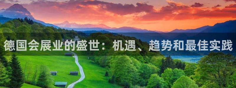 果博公司直属会员开户