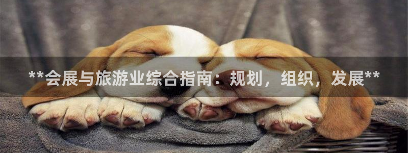 果博怎么注册账号：**会展与旅游业综合指南：规划，组织，发展**