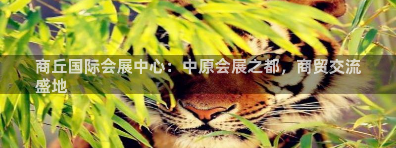 下载果博app：商丘国际会展中心：中原会展之都，商贸交流
盛地