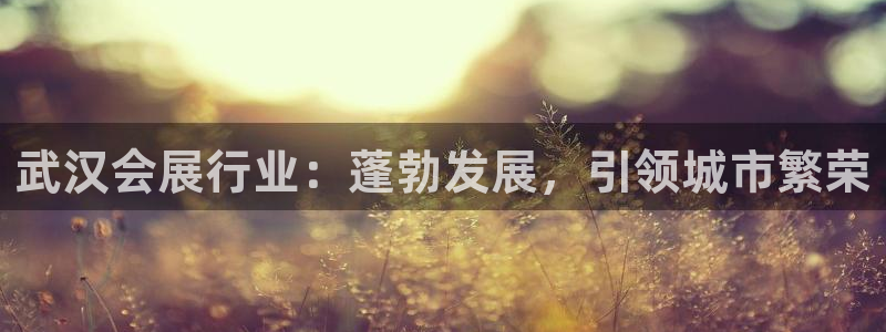 果博公司游戏网址：武汉会展行业：蓬勃发展