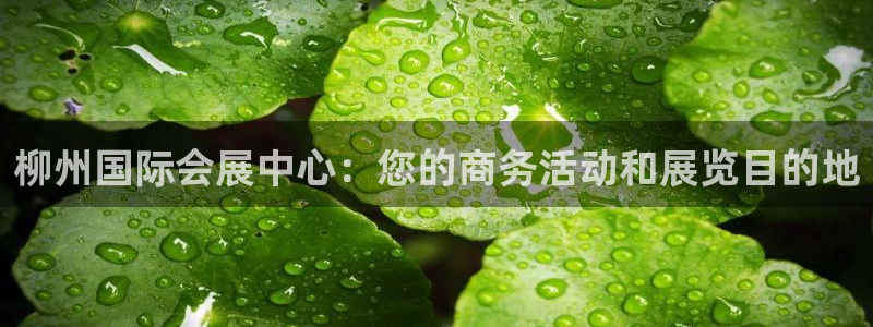 果博注册客服电话是多少啊：柳州国际会展中心：您的商务活动和展览目的地