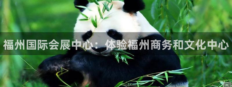 果博公司会员注册账号：福州国际会展中心：体验福州商务和文化中心