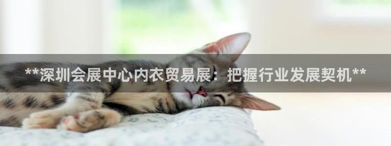 果博注册账号链接：**深圳会展中心内衣贸易展：把握行业发展契机**