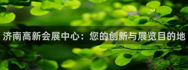 果博注册会员维wckk389：济南高新会