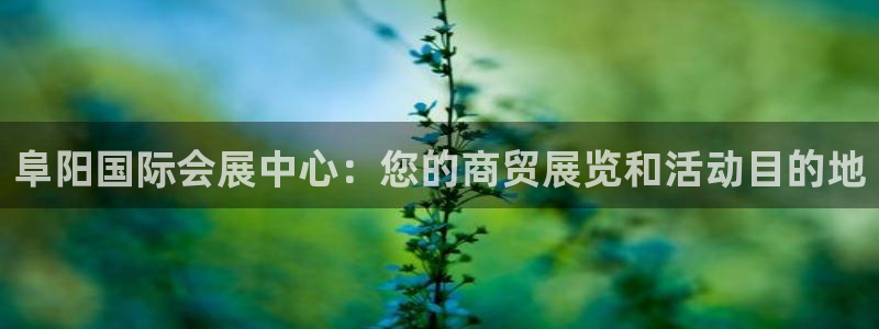下载果博博东方：阜阳国际会展中心：您的商贸展览和活动目的地