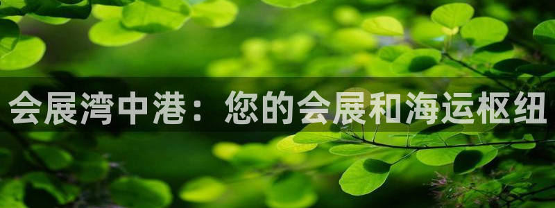 苹果电脑怎么下载伯索：会展湾中港：您的会展和海运枢纽