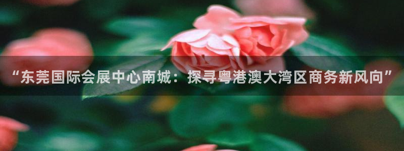 果搏东方客服：“东莞国际会展中心南城：探