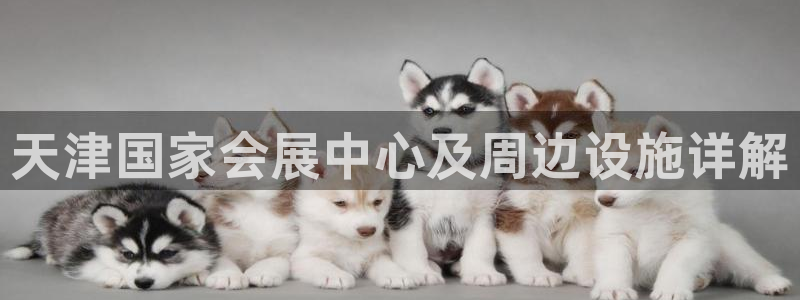果博公司客服怎么样：天津国家会展中心及周边设施详解
