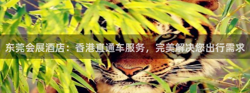 果博账号注册要钱吗
