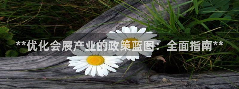 果博官网首页：**优化会展产业的政策蓝图：全面指南**