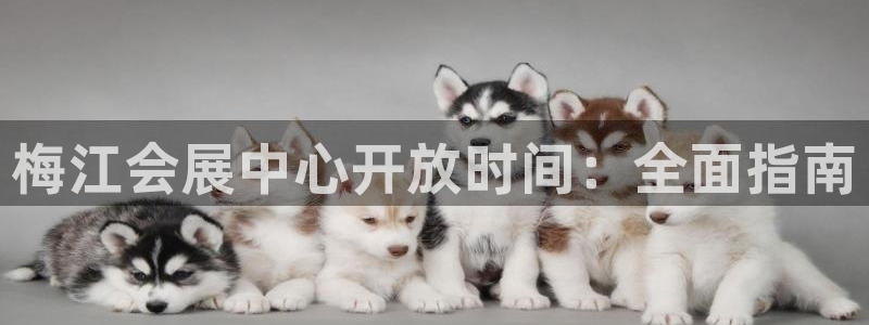 果博公司会员账号开户
