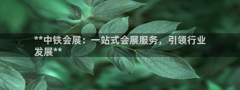果博平台苹果电脑怎么下载