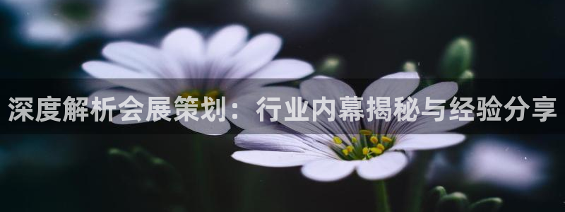 果博注册会员要钱吗：深度解析会展策划：行业内幕揭秘与经验分享