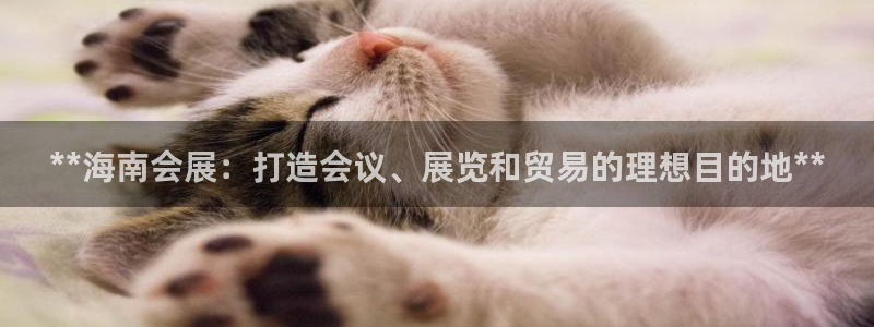 果博公司客服微信号是多少：**海南会展：打造会议、展览和贸易的理想目的地**