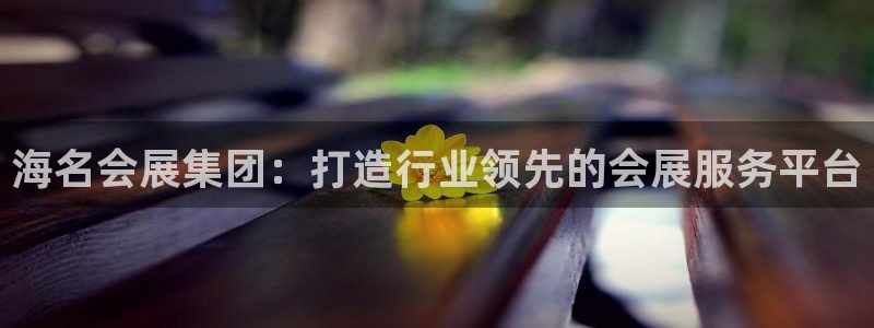果博公司会员注册账号：海名会展集团：打造行业领先的会展服务平台