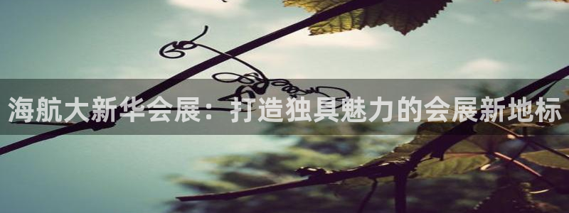 果博注册会员维wckk389：海航大新华会展：打造独具魅力的会展新地标