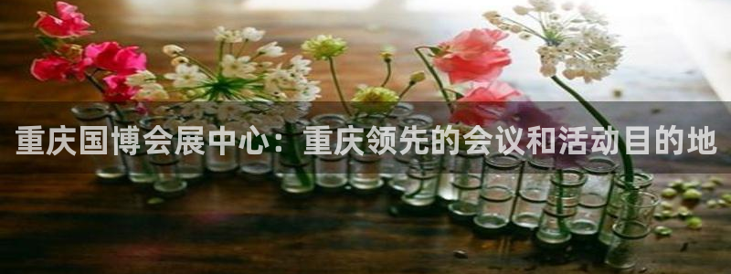果博客服电话哪里找：重庆国博会展中心：重庆领先的会议和活动目的地