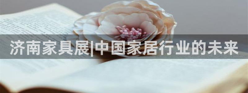 果博公司开户热线：济南家具展|中国家居行业的未来