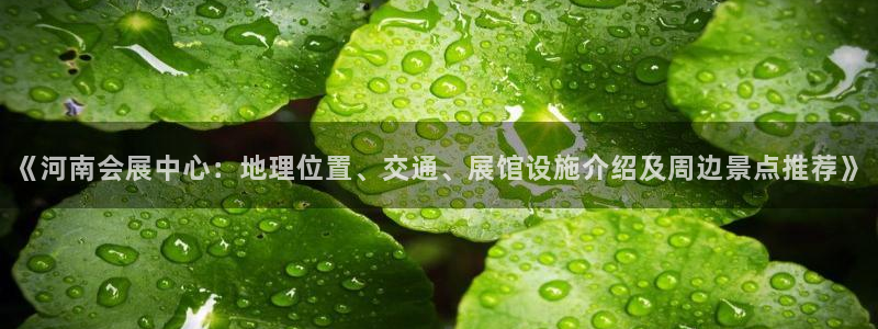 果博公司会员开户：《河南会展中心：地理位置、交通、展馆设施介绍及周边景点推荐》