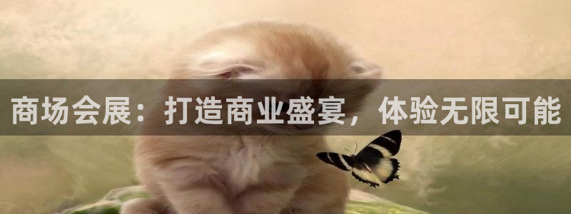 电脑怎么下载果考网：商场会展：打造商业盛宴，体验无限可能