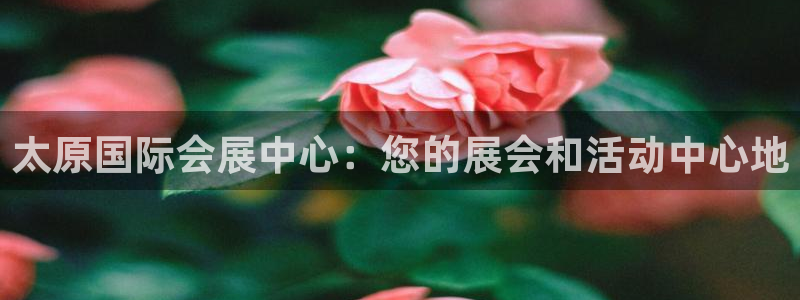 果博账号注册要钱吗：太原国际会展中心：您的展会和活动中心地