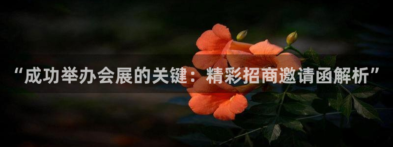 果博怎么注册账号：“成功举办会展的关键：精彩招商邀请函解析”