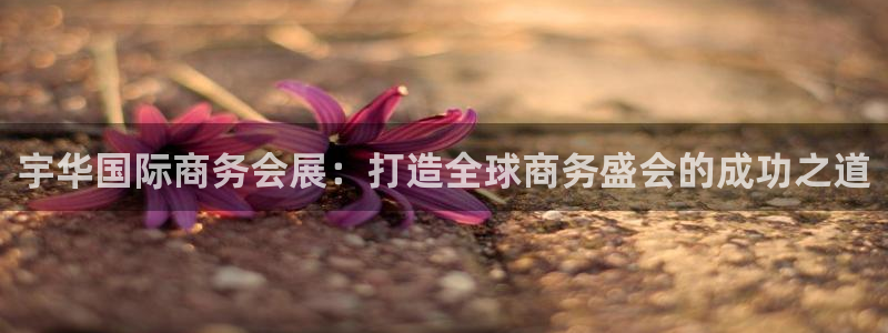 果博平台真实吗安全吗可信吗可靠吗：宇华国际商务会展：打造全球商务盛会的成功之道