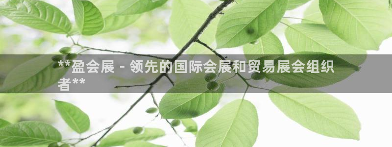 下载果博博东方：**盈会展 - 领先的国际会展和贸易展会组织
者**